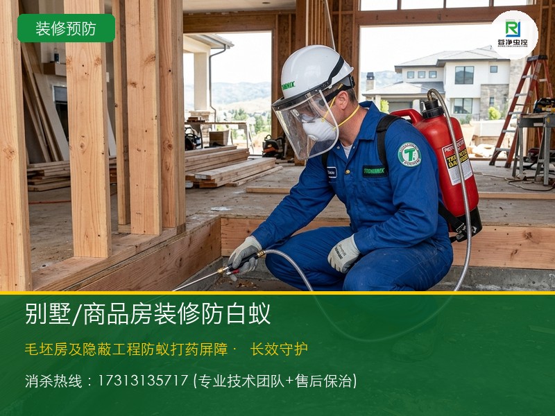 别墅白蚁预防